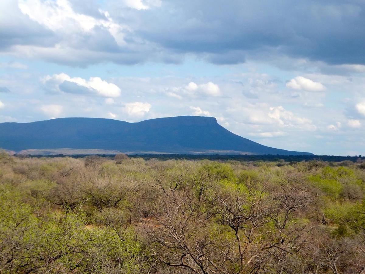 Iphofolo Lodge & Tented Camp Vivo Εξωτερικό φωτογραφία