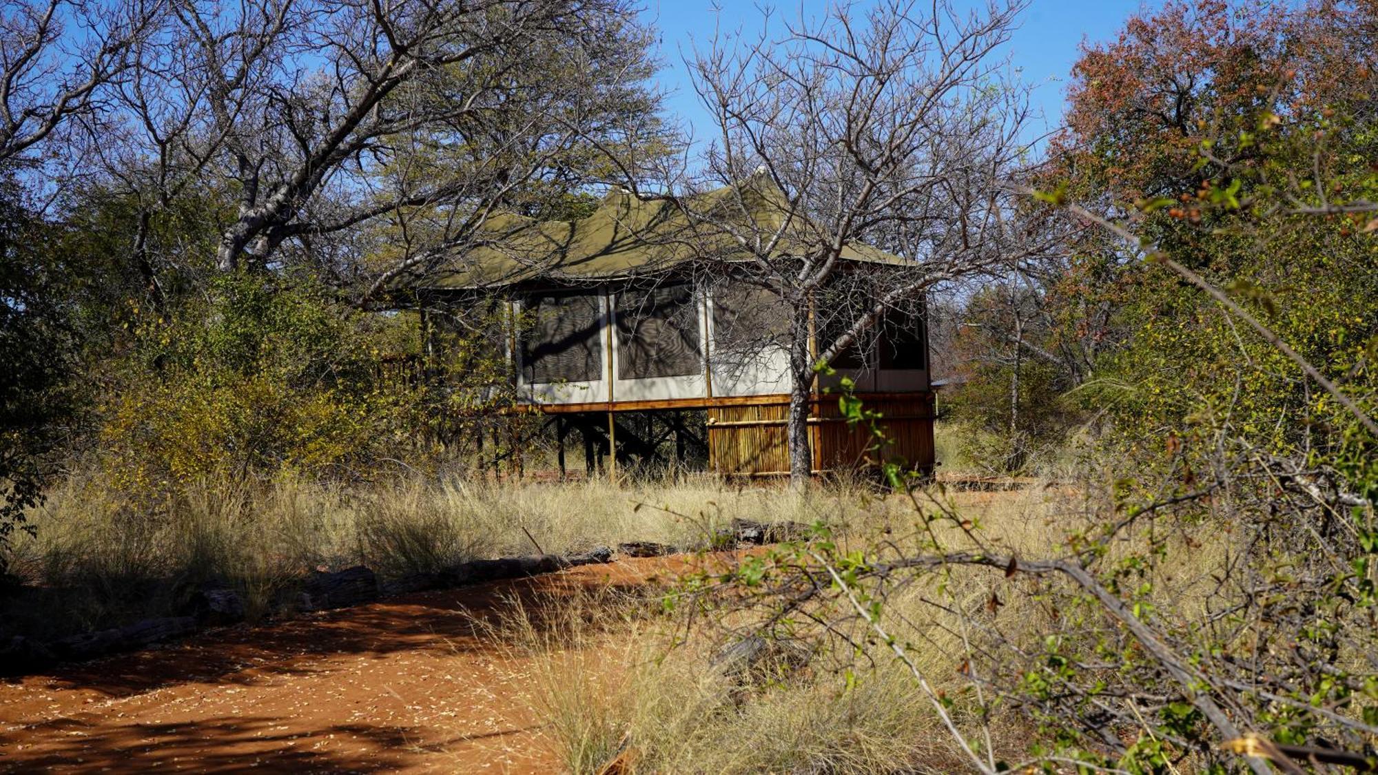 Iphofolo Lodge & Tented Camp Vivo Εξωτερικό φωτογραφία