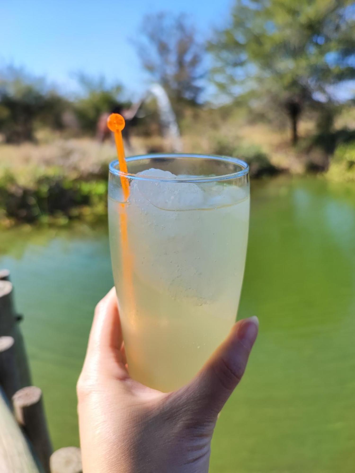 Iphofolo Lodge & Tented Camp Vivo Εξωτερικό φωτογραφία